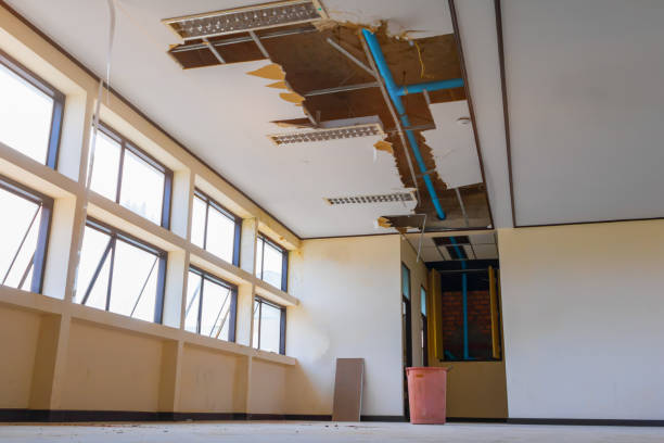 Best Water damage contractors near me  in Garden Plain, KS