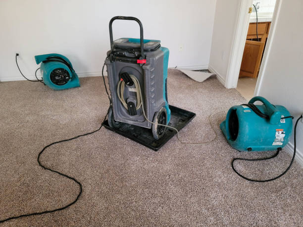 Best Water damage cleanup near me  in Garden Plain, KS