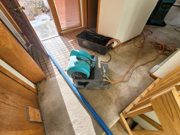 Best Sewage cleanup and water damage restoration  in Garden Plain, KS