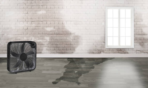 Best Residential water damage restoration  in Garden Plain, KS