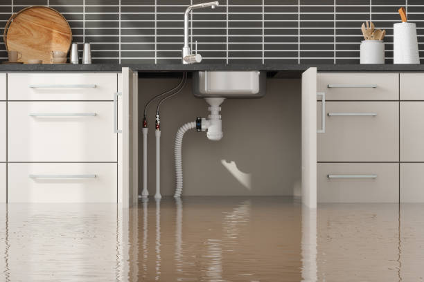 Best Ceiling water damage repair  in Garden Plain, KS